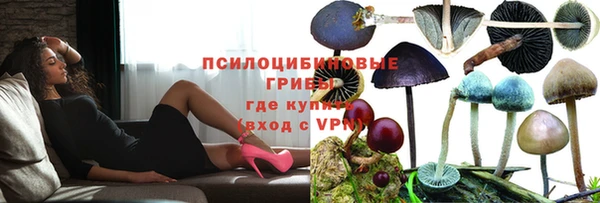 прущая мука Переславль-Залесский