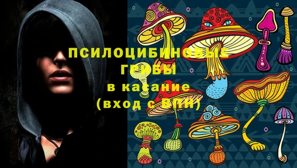 мескалин Пестово