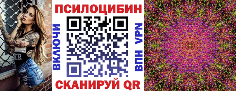 KRAKEN зеркало  где можно купить   Котлас  Псилоцибиновые грибы Psilocybine cubensis 