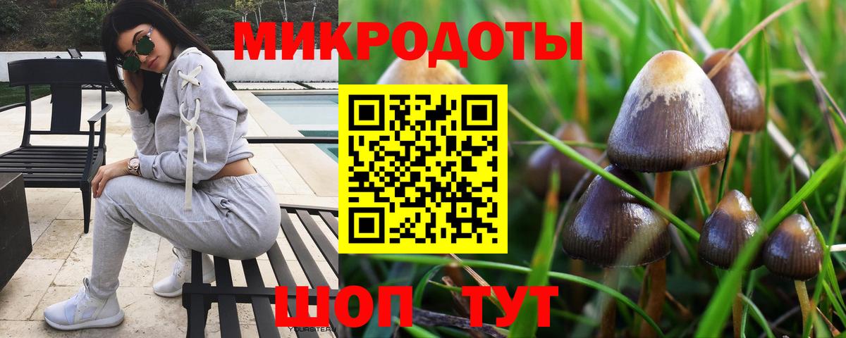 Псилоцибиновые грибы MAGIC MUSHROOMS  Вход с VPN  Галлюциногенные грибы Cubensis  Котлас 