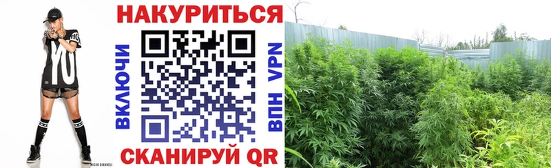 Каннабис гибрид  МЕГА вход  Котлас 